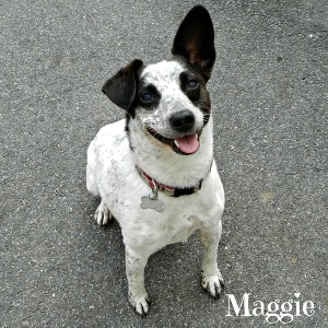 maggie may 3 sm