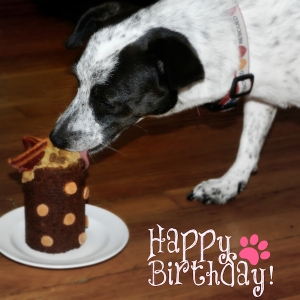 Dog-friendly Birthday Cake Recipe I Pretty Little Pastimes