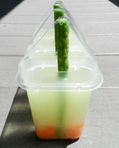 Chicken and Carrot Pupsicle I Pretty Little Pastimes