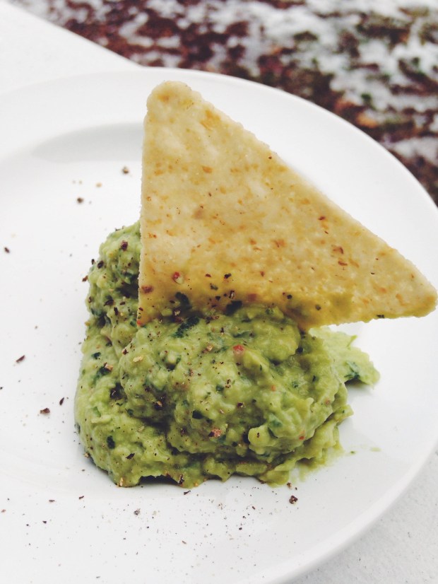 Creamy Avocado Sauce I Pretty Little Pastimes