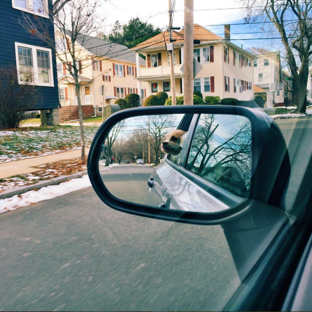 2015 in Review I Pretty Little Pastimes